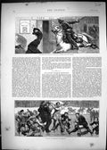 Old 1871 Ice Skating Fun Scene Clearing Street Versailles France Sort Victorian
