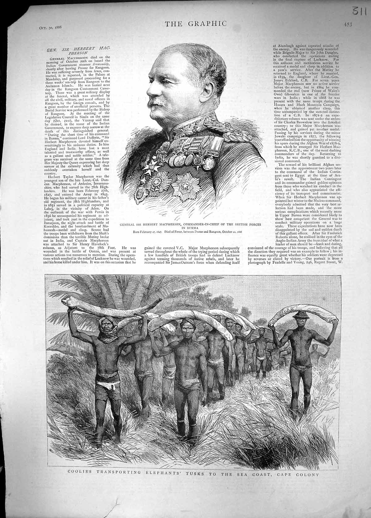 Old 1886 General Herbert Macpherson Burma Coolies Elephant Tusks Cape Victorian