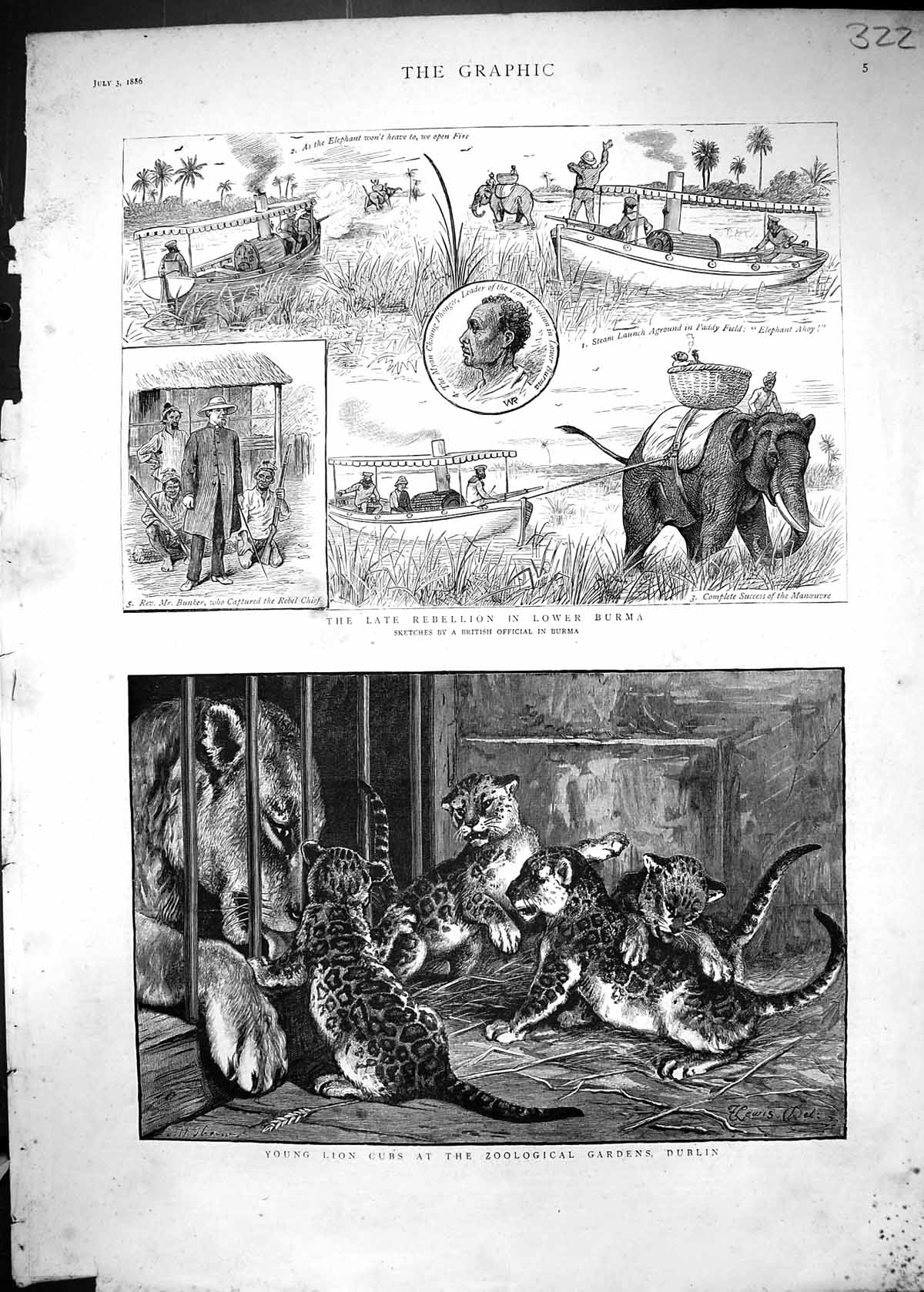 Old 1886 Young Lion Cubs Zoological Gardens Dublin Burma Elephants Bu Victorian