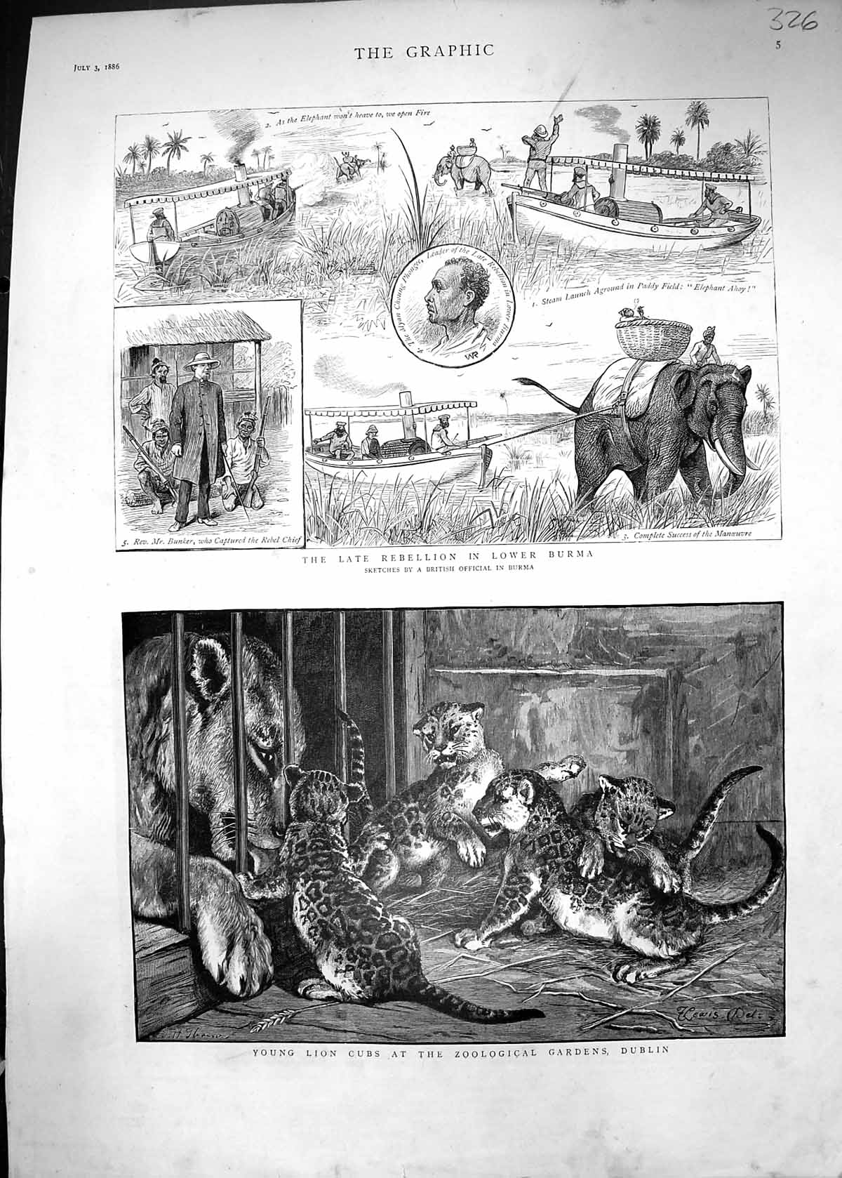 Old 1886 Young Lion Cubs Zoological Gardens Dublin Burma Elephants Bu Victorian