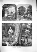 Old 1880 Hawarden Lodge Chester Northop Road Axe Chopping Tree Estuar Victorian