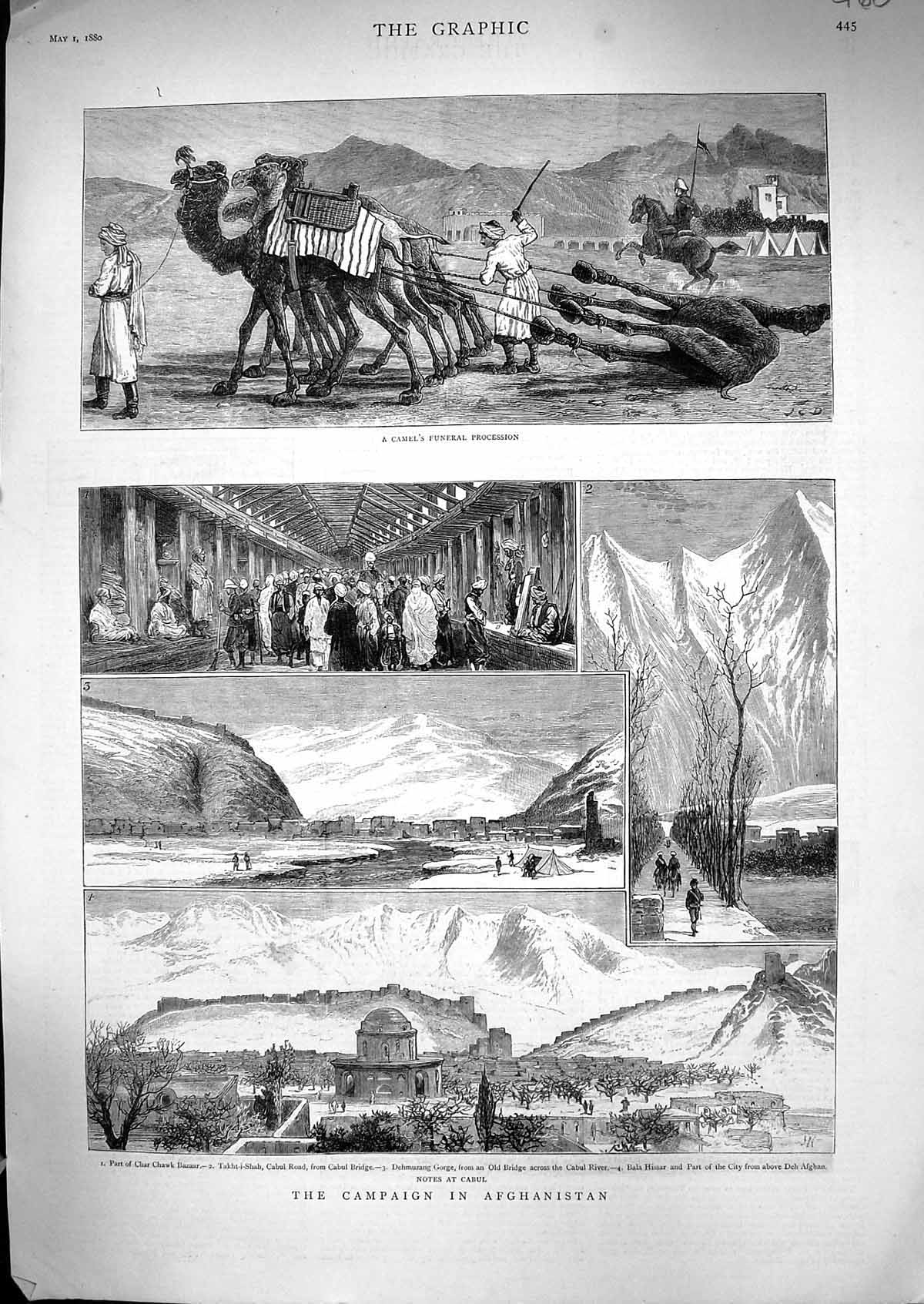 Old 1880 Camel Funeral Procession Afghanistan Char Chawk Cabul Takht- Victorian