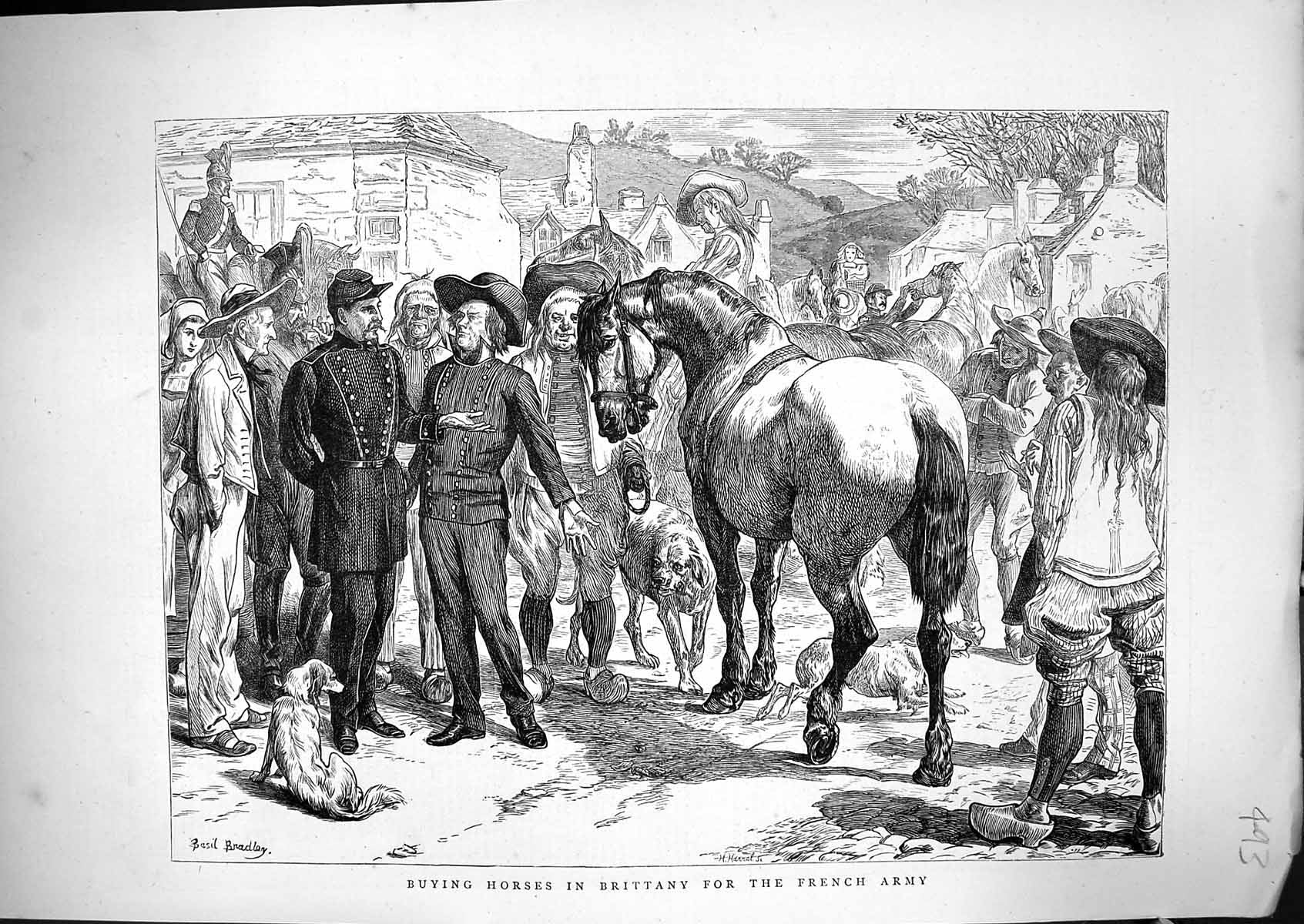 Antique Old Print *6102 1871 Scene Buying Horses Brittany France French Army