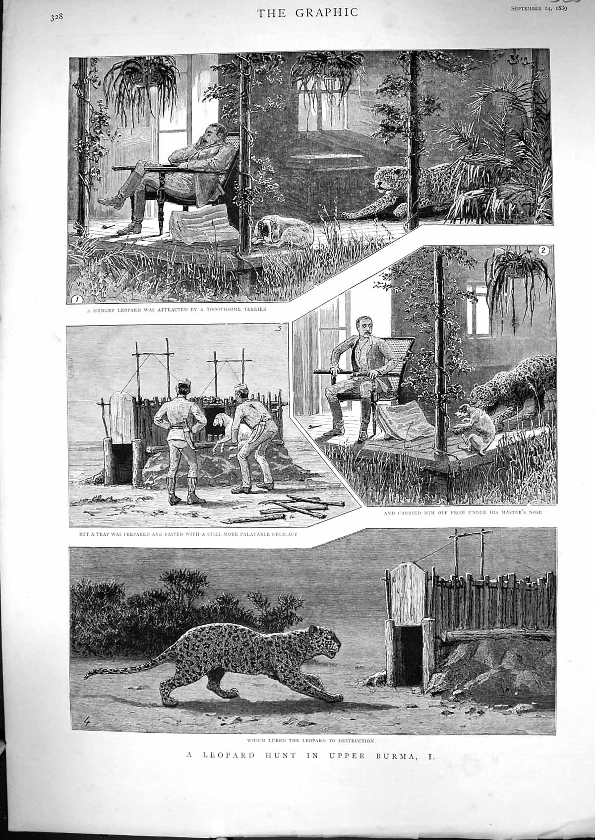 Antique Old Print 1889 Leopard Hunting Burma Sport Man Sleeping Dog Goat Bait