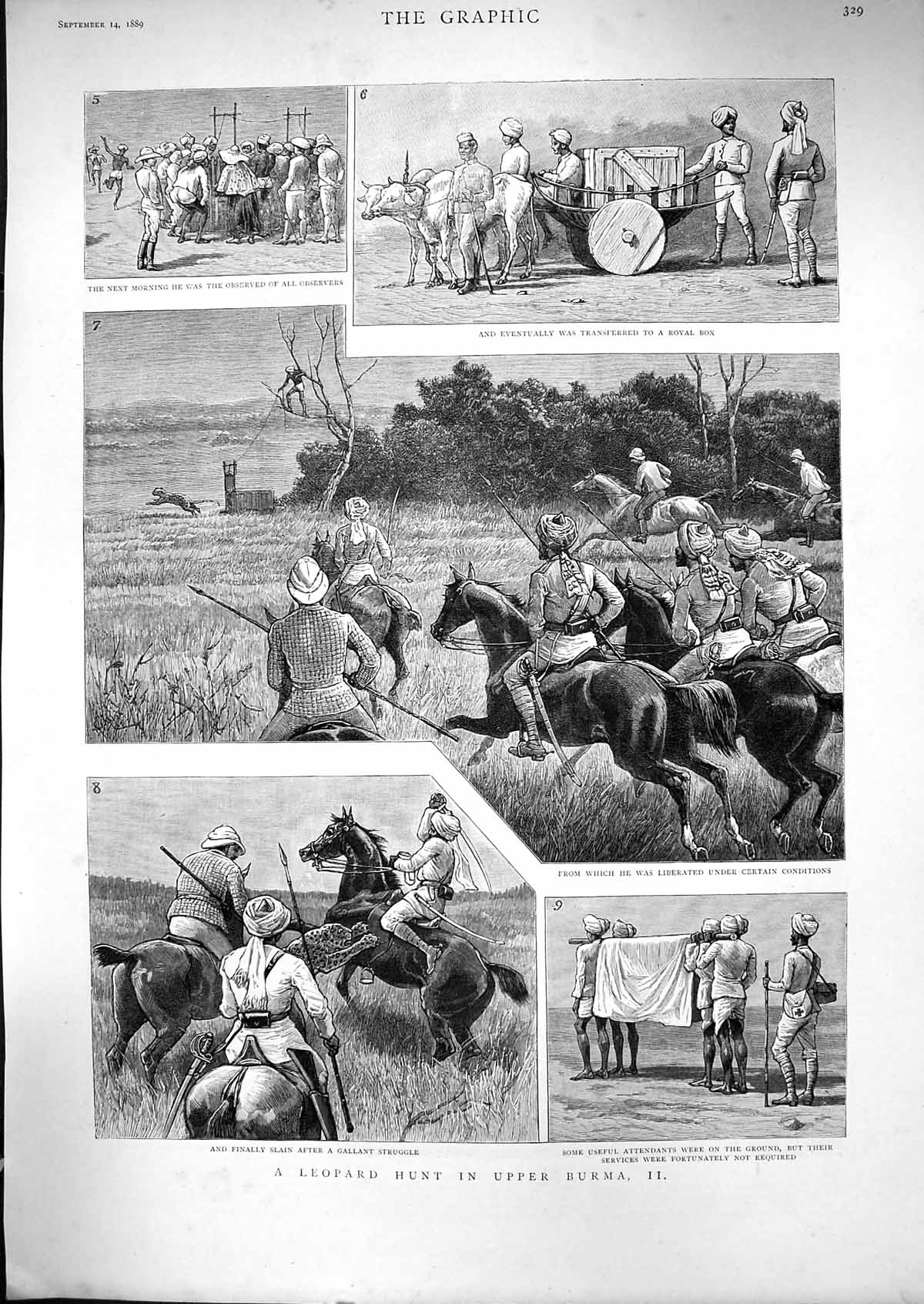 Original Old Antique Print 1889 Leopard Hunting Burma Sport Men Attacked Horse