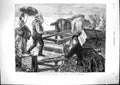 Antique Old Print 1874 Agricultural Lock-Out Farmer Labourer Horses Fine Art
