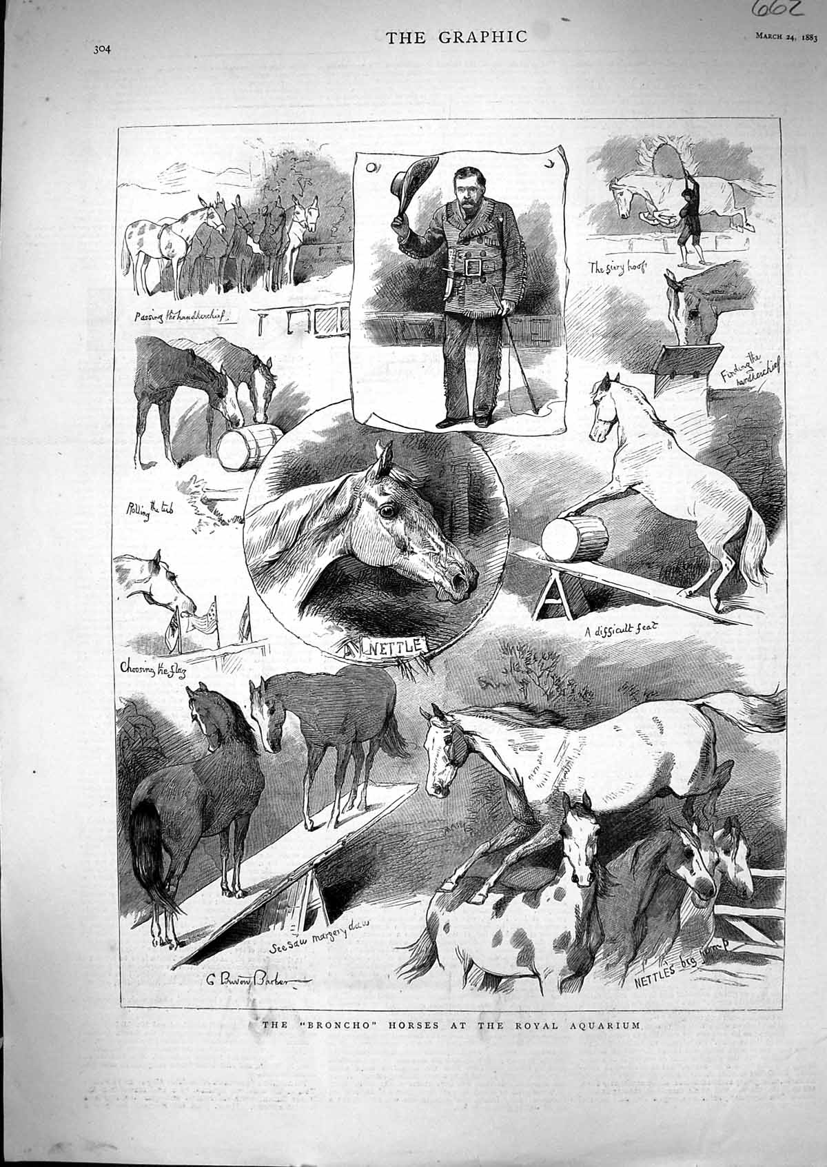 Old 1883 Broncho Horses Royal Aquarium Nettle Performing Entertainmen Victorian