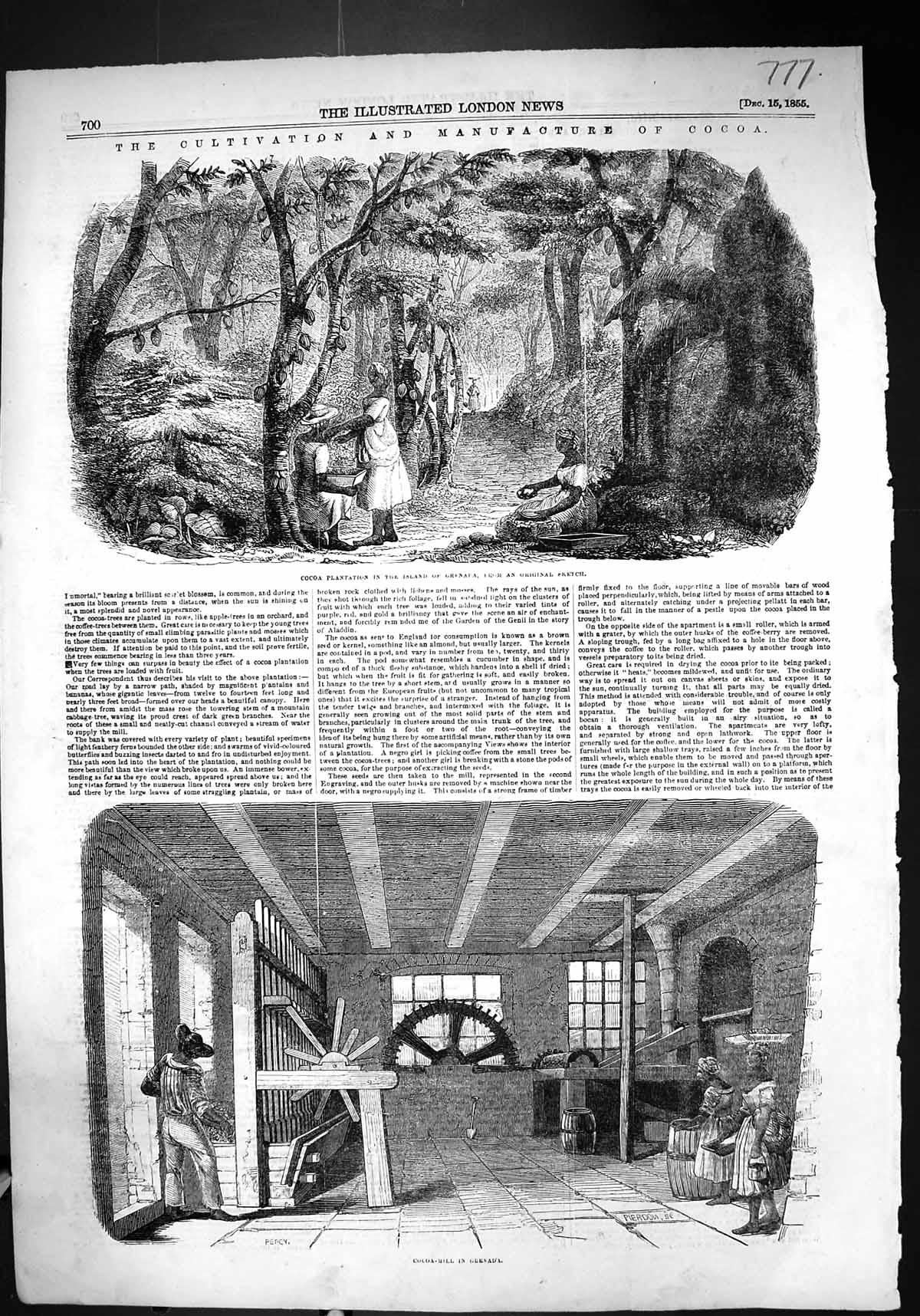 Old 1855 Cultivation Manufacture Cocoa Plantation Island Grenada Mill Victorian