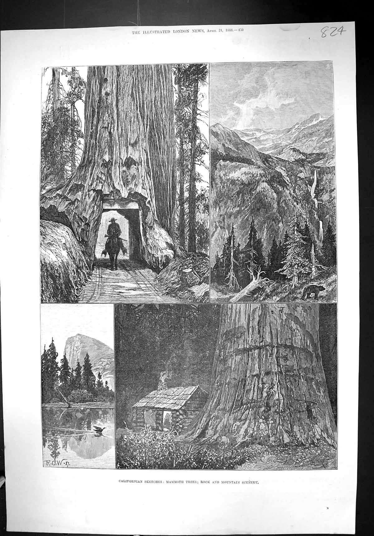 Old 1888 California America Mammoth Trees Rock Mountain Scenery Fine Victorian