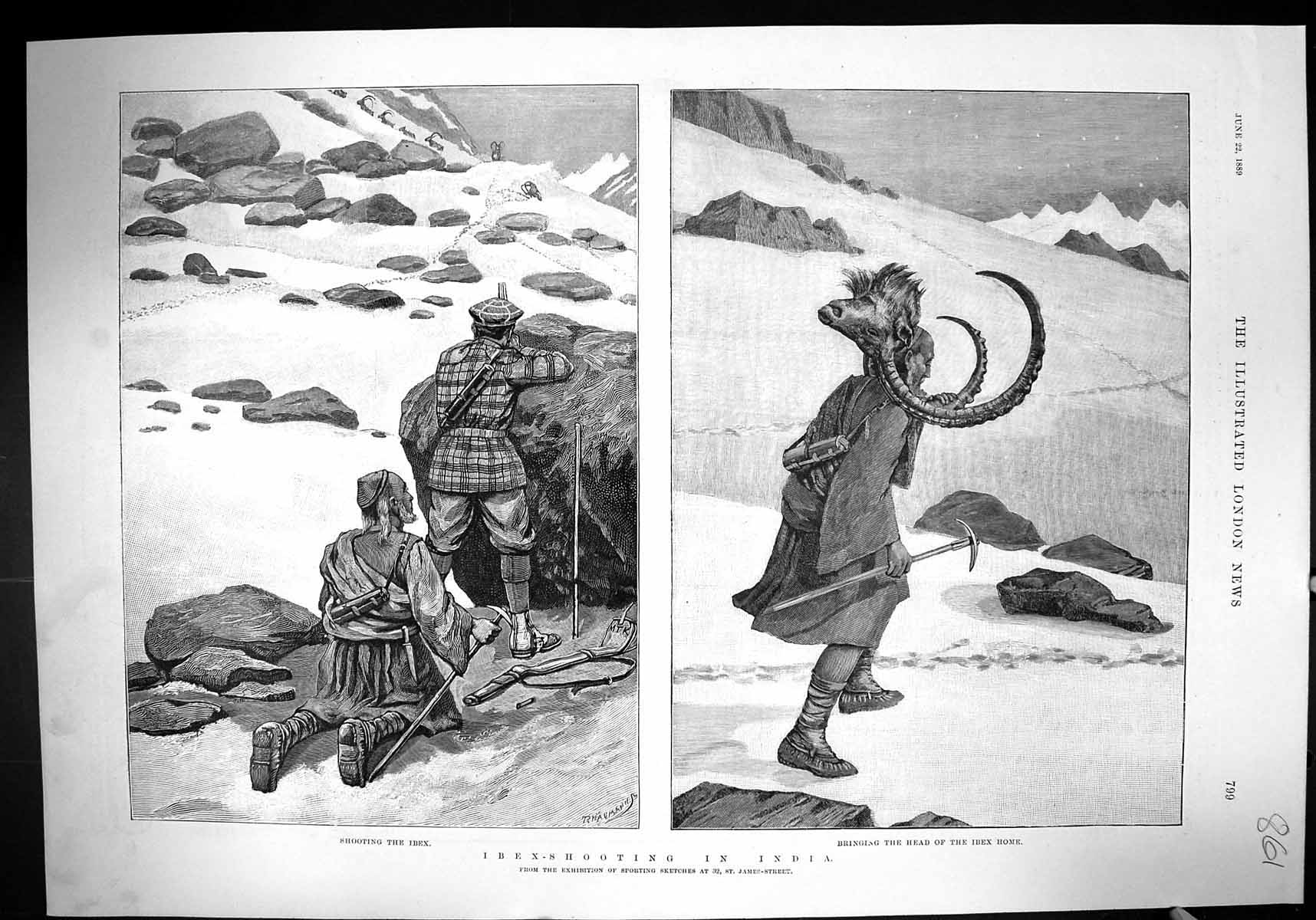 Old Print 1889 Ibex Shooting India Hunter Bringing Head Dead Animal Sport 19th