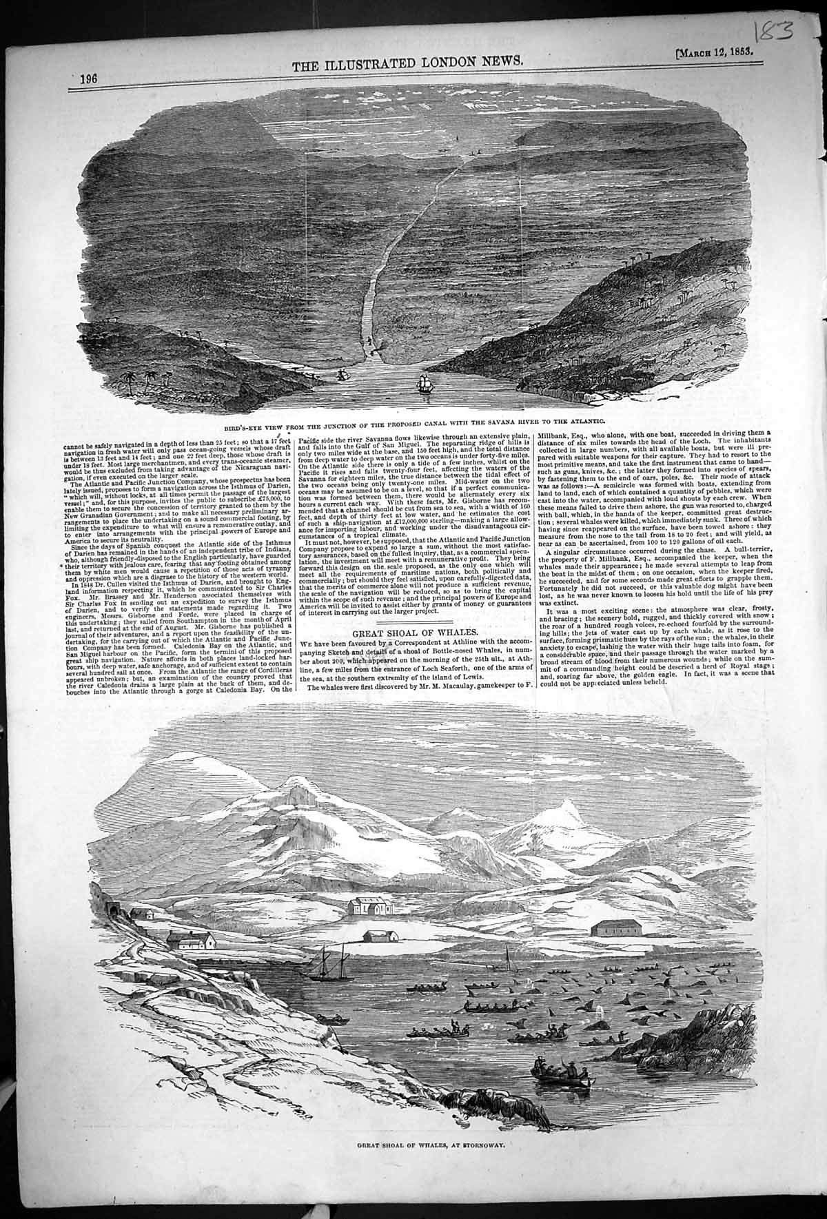 Old 1853 Bird'E-Eye View Canal Savana River Shoal Whales Stornoway Ma 19th