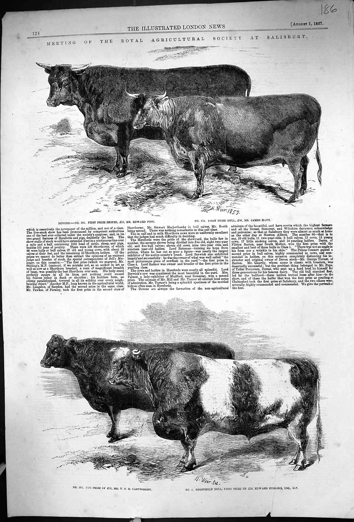 Old 1857 Agriculture Show Salisbury Pope Bull Davy Stirling Ladies Fa 19th