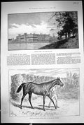 Old 1889 Welbeck Abbey Donovan Derby Horse Duke Portland Statue Marqu 19th