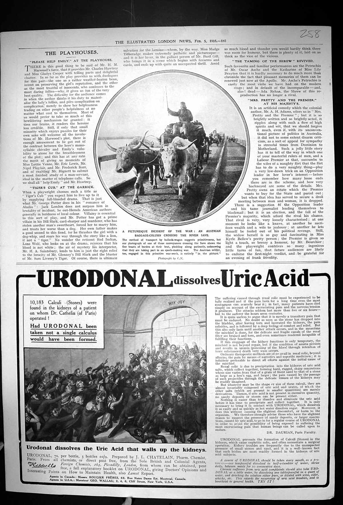 Old 1916 War Austrian Baggage Column River Save Urodonal Buchanans Sc 20th