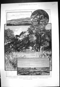 Old 1888 California Real Castillo Animas Canon San Rafael Welles Capt Victorian