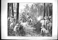 Old 1896 Cuba Spanish Troops Ambuscade Manzanillo Ely Cathedral Archi Victorian