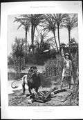 Antique Print 1889 Cleopatra Lion Dead Man Fine Art Woodville Rider Haggard