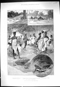 Old 1896 Ashanti Expedition Esiamar Kuma Market Ejinassi Kwisa King P Victorian