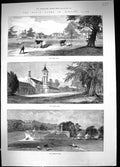 Old 1889 Royal Farm Windsor Park Dairy Home Flemish Cow House CattleVictorian