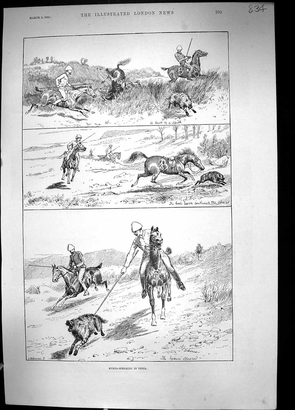 Old 1889 Hyena Spearing India Hunting Biarritz Lighthouse Villa Eugen 19th