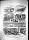 Old 1884 Alaska America Barrabbora Reindeer Chignick Kodiac Creole Hu 19th