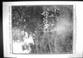 Old 1909 Native British East Africa Bwano Tumbo Crane Dockyard Barrow 20th