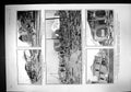 Old 1906 Earthquake Santa Rosa Rose Hotel Carnegie Library Chaberlain 20th