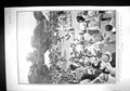 Old 1902 Children Coronation Fete Victoria Park Cricket Doctors Liste 20th