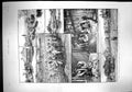Old 1894 Australia Wool Industry Sheep Farm Trinity Adie Johnson Clar 19th