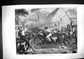 Old 1871 Mustering Cattle Australia Chillingham Horses Elastic Wheels 19th