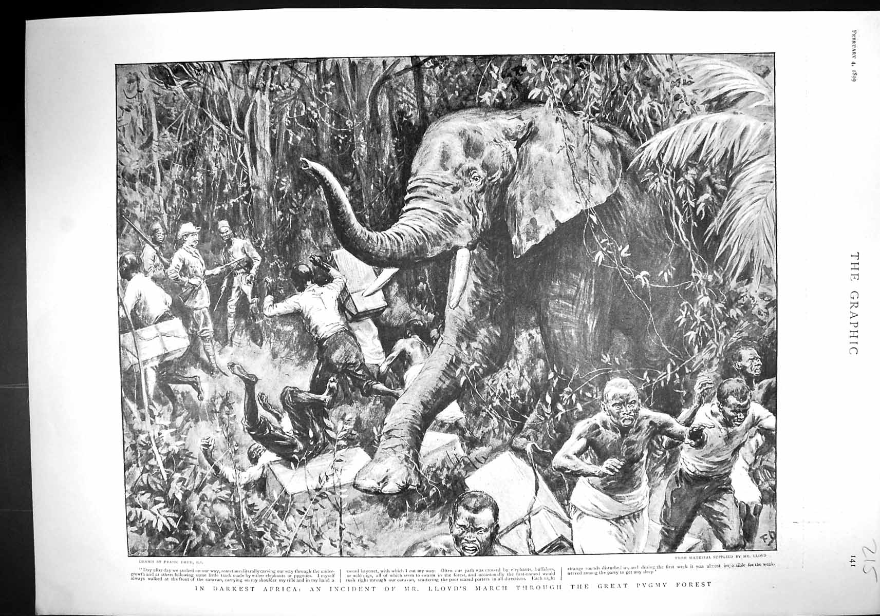Old 1899 Africa Lloyd Pygmy Forest Elephant Wright Ruffer Fraser Cumi 19th