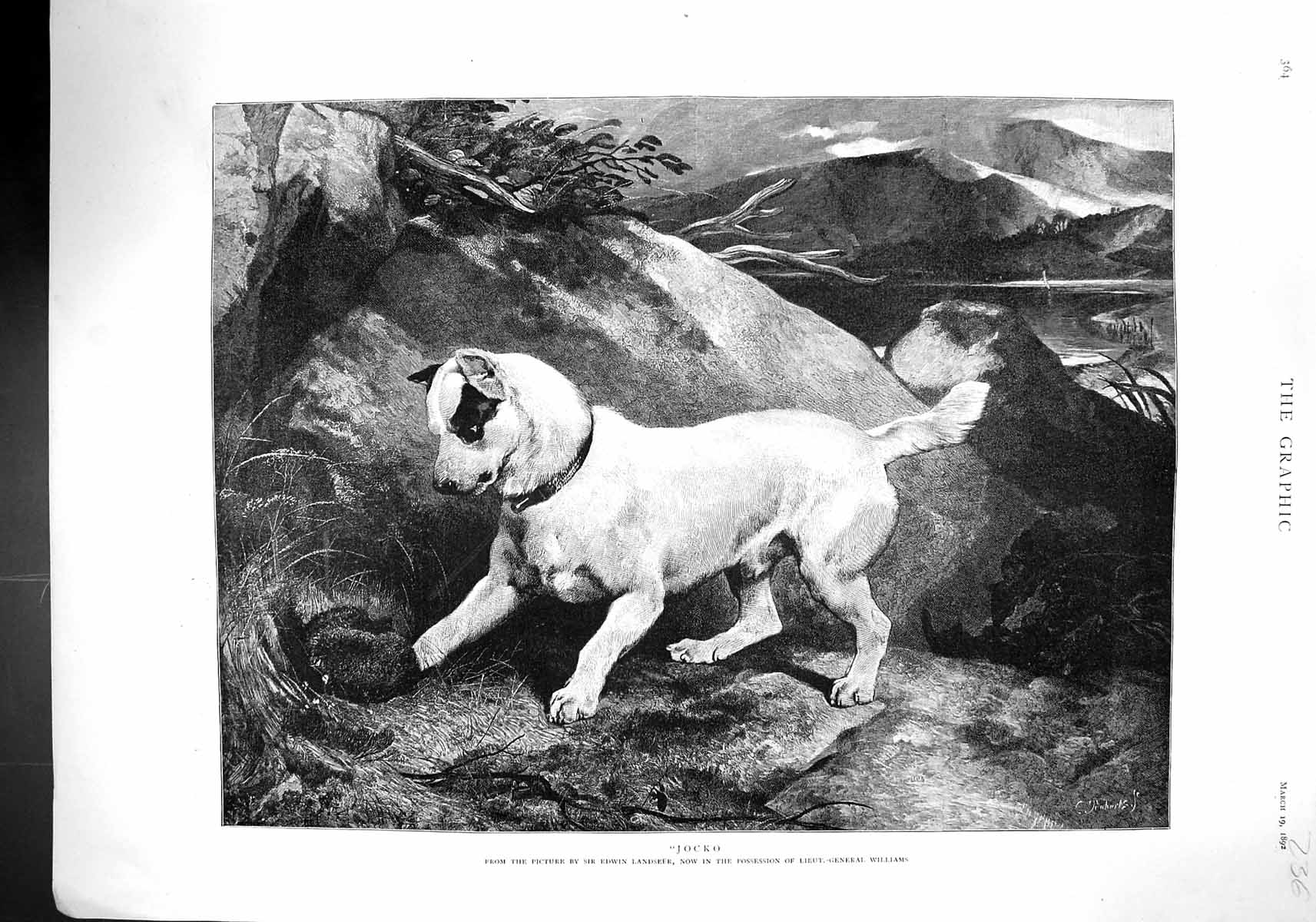 Old 1892 Jocko Dog Landseer Seal Schooner Ship Pheasant Nymphe Mohica 19th