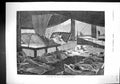 Old 1876 Sleeping Deck Red Sea Ship Cheetah Hunting Elephant Muckinpo 19th