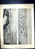 Old 1875 Breakwater Harbour Colombo Ceylon Ships Cronstadt Duke Edinb Victorian