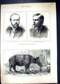 Old 1874 Pettie Loughborough Royal Academy Javan Rhinoceros Sondaicus Victorian