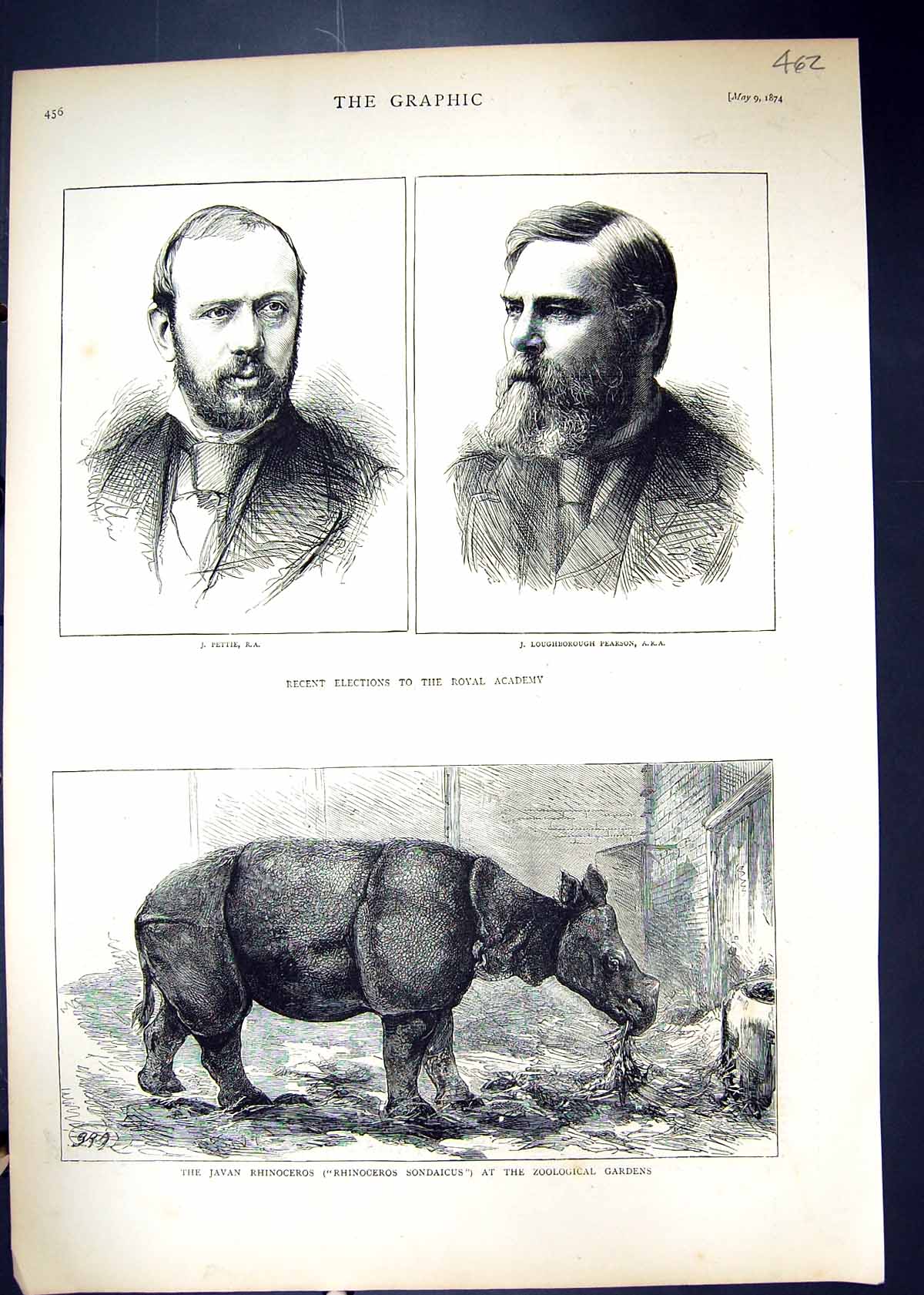 Old 1874 Pettie Loughborough Royal Academy Javan Rhinoceros Sondaicus Victorian