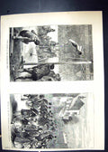 Old 1871 Pole Leaping Agricultural Hall Middlesex Artillery Cuckfield Victorian