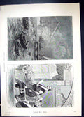 Old 1889 Paris Exhibition Eiffel Tower Carnot Tirard Shoes Langley Lo 19th