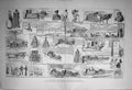 Old 1888 Sledge Journey Siberia Overland Trip Vladivostock Nijni-Novg Victorian