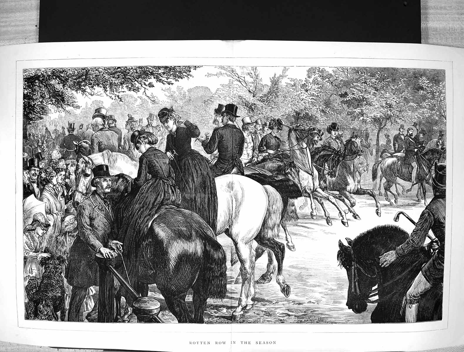 Original Old Antique Print 1871 Rotten Row Season Horses Hunting Fine Art 19th