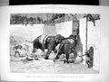 Antique Old Print 1876 Baroda Elephant Fight Arena Prince Wales India Sport