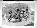Old Antique Print 1881 Runnaway Horses Coach Struggle Transport Charlton 19th