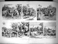 Old Antique Print 1894 Horse Show Hunters Ring Spectators John Charlton 19th