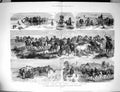 Old Antique Print Damaged 1881 Wild Horses Puszta Hungarian Heath Country 19th