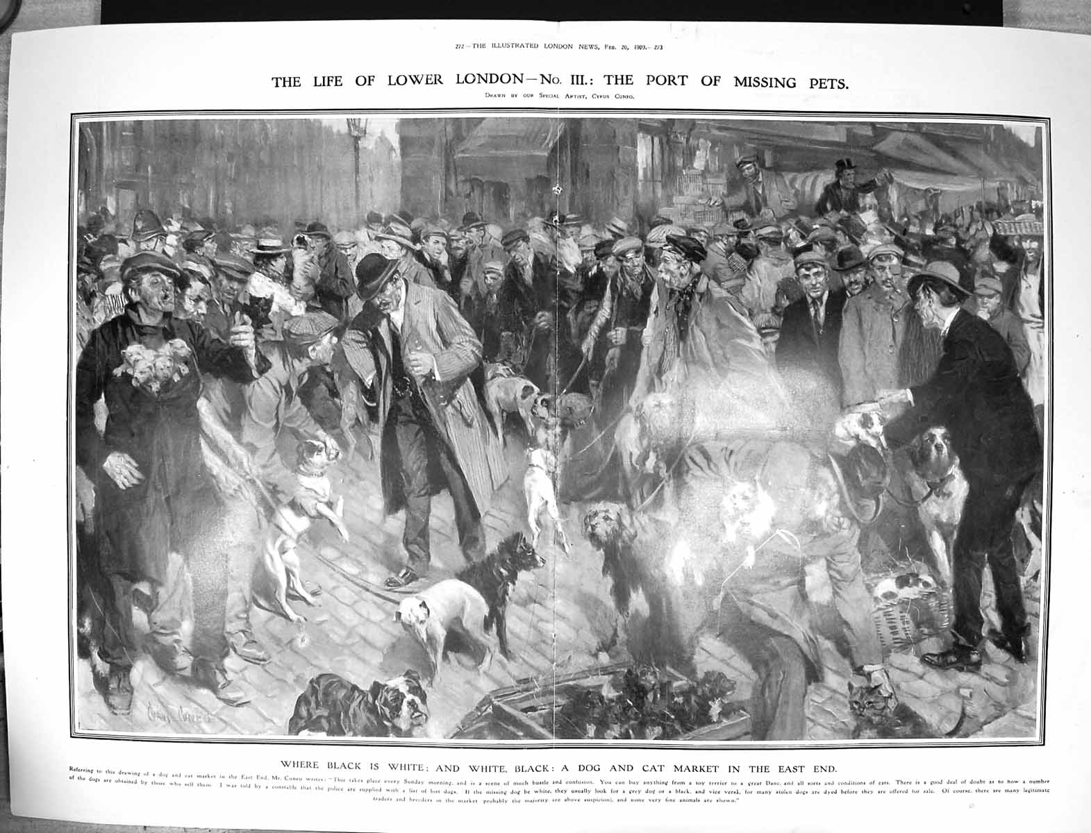 Original Old Antique Print 1909 London Dog Cat Market East End Sale Cuneo 20th