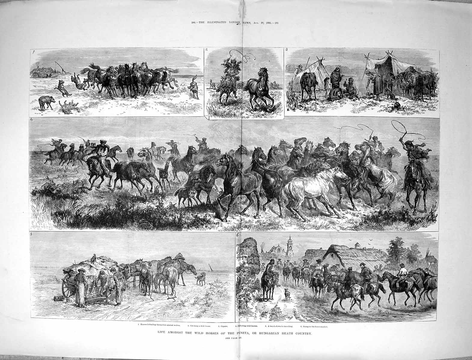 Old Antique Print 1881 Wild Horses Puszta Hungarian Heath Country Gipsies 19th