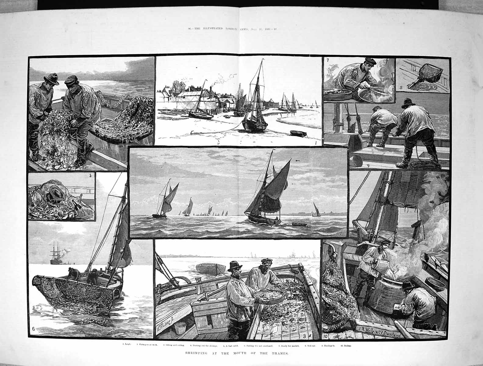 Old 1883 Shrimping Fishing River Thames Leigh Shrimpers Fish Shrimps Victorian