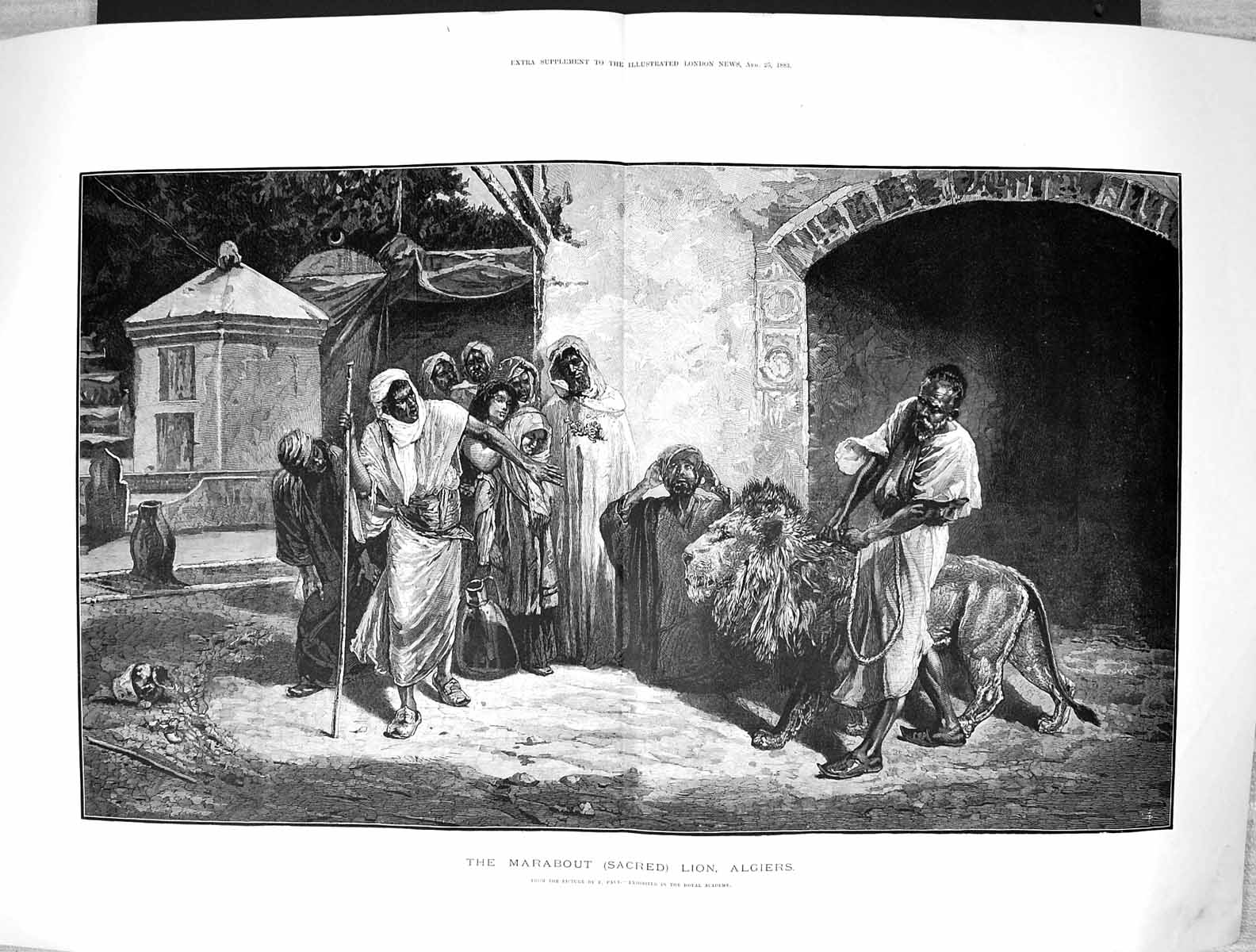 Old Antique Print 1883 Pavy Fine Art Marabout Sacred Lion Algiers Africa 19th