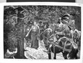 Old 1883 Luther Prisoner Saxon Knights Forest Thuringia Wartburg Wood Victorian