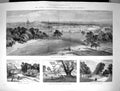 Old 1889 Royal Agricultural Show Windsor Queen Ann Bromley Hill Winds Victorian